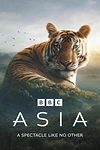 Постер к сериалу Азия