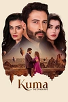 Постер к сериалу Другая жена