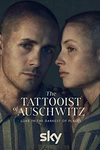 Постер к сериалу Татуировщик из Освенцима
