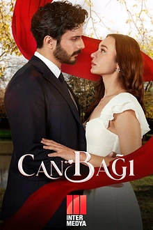 Постер к сериалу Струны души