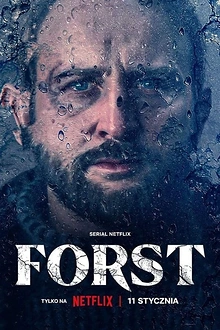 Постер к сериалу Детектив Форст