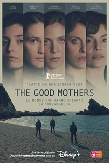 Постер к сериалу Хорошие матери