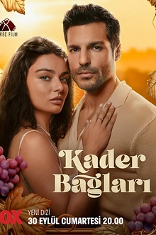 Постер к сериалу Узы судьбы