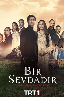 Постер к сериалу Одна любовь