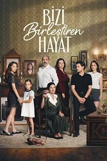 Постер к сериалу Жизнь, которая нас объединяет