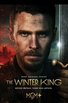 Постер к сериалу Зимний король
