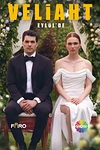 Постер к сериалу Наследник