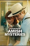 Постер к сериалу Тайны Амишей из Шугар Крика