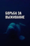 Постер к сериалу Борьба за выживание