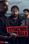 Постер к сериалу Сын стрелка