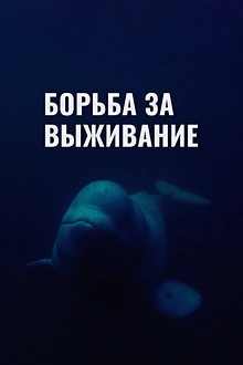 Постер к сериалу Борьба за выживание