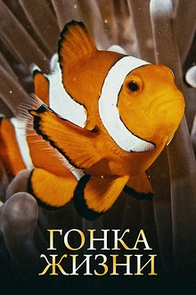 Постер к сериалу Гонка жизни