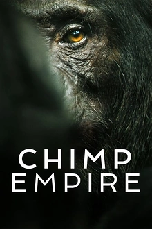 Постер к сериалу Империя шимпанзе