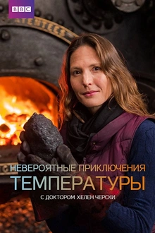 Постер к сериалу Невероятные приключения температуры